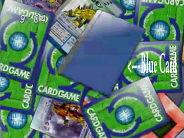 Blue Card