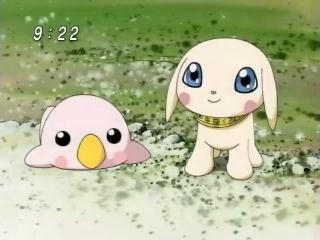 sylphymon d-digivolve to....PURRURUMON...SALAMON!