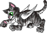 Hello,I'm Silly(I named her after my cat {=0)).